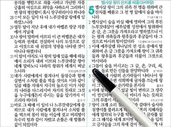 Amazon.com: 두란노 비전성경 특미니 w/ 새찬송가, 지퍼, 펄분홍